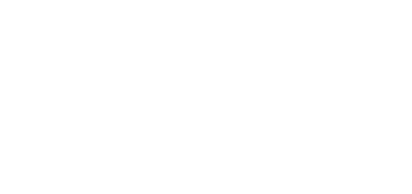 white NSIN logo